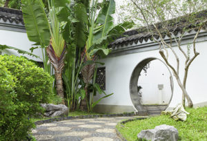 diseño de jardines Alicante - 2