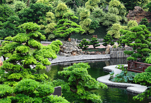 diseño de jardines Alicante - 1