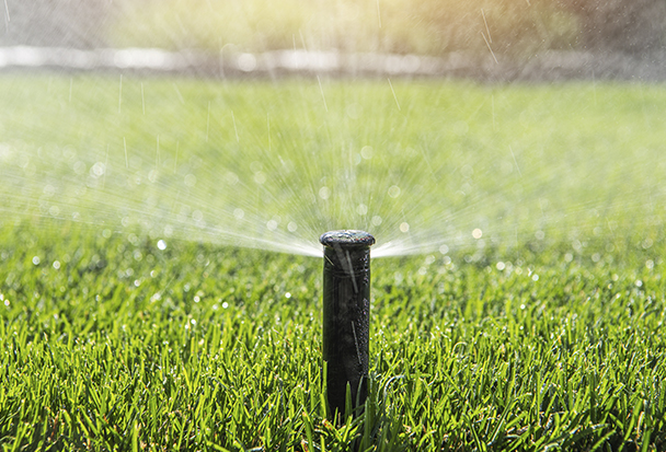 riego jardines Alicante- 4