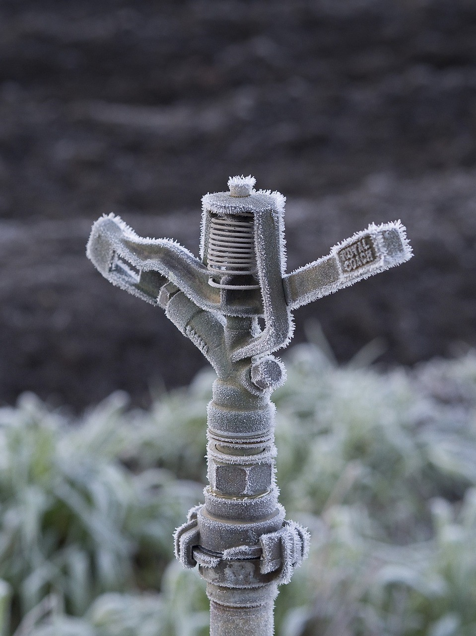 como montar un sistema de riego para césped - 2