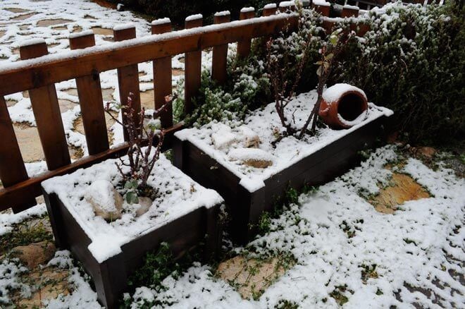 abonar-jardines-en-invierno