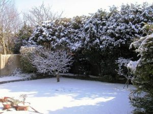 abonar-jardines-en-invierno2