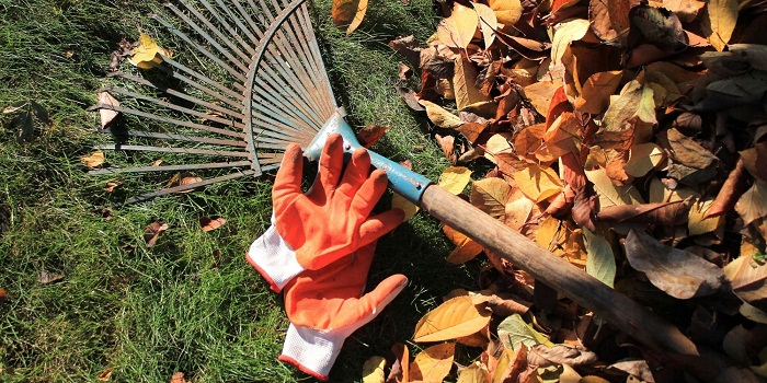 Mantenimiento de jardines en otoño