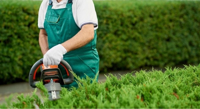 Mantenimiento de jardines en otoño-2