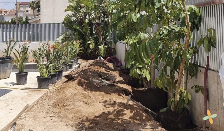 jardineros en alicante