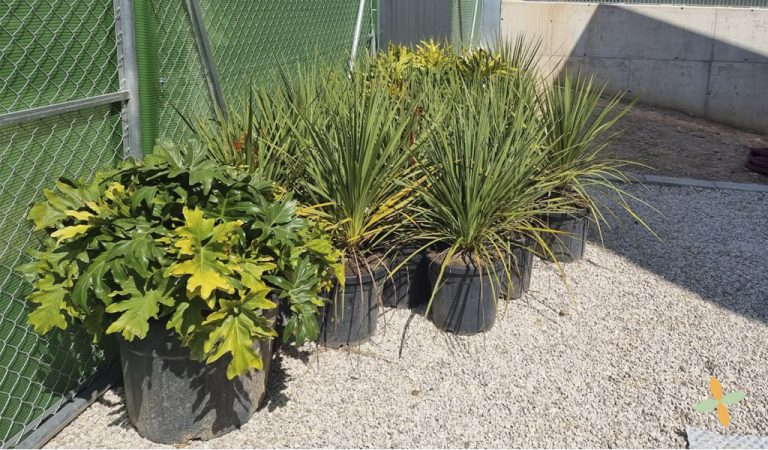 jardineros en alicante