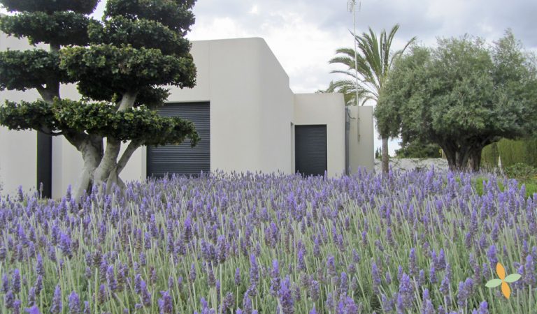 paisajismo en alicante