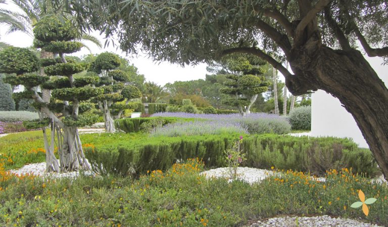 diseño de jardines y paisaijismo