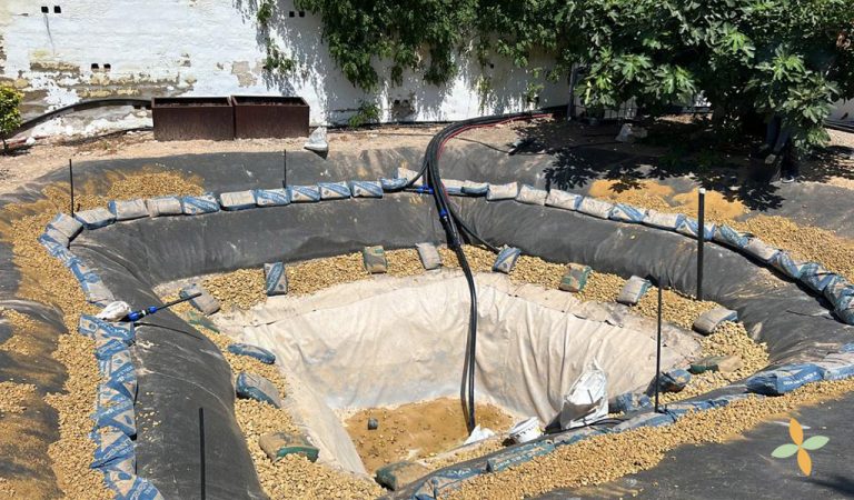 jardinería y piscinas alicante